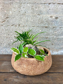 סוטו סהרה (M) - בטוח לבע"ח