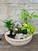 סוטו פרדיסו (L)