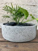 סוטו שיבומי(M)