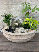 סוטו פרדיסו (L)