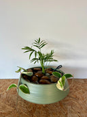 סוטו טומו (M) - בטוח לבע"ח